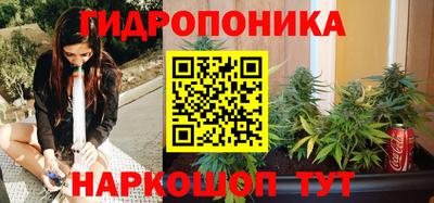 МДПВ Будённовск