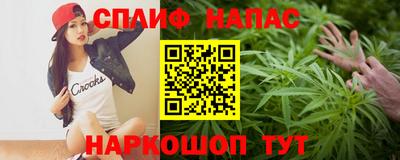 МДПВ Будённовск